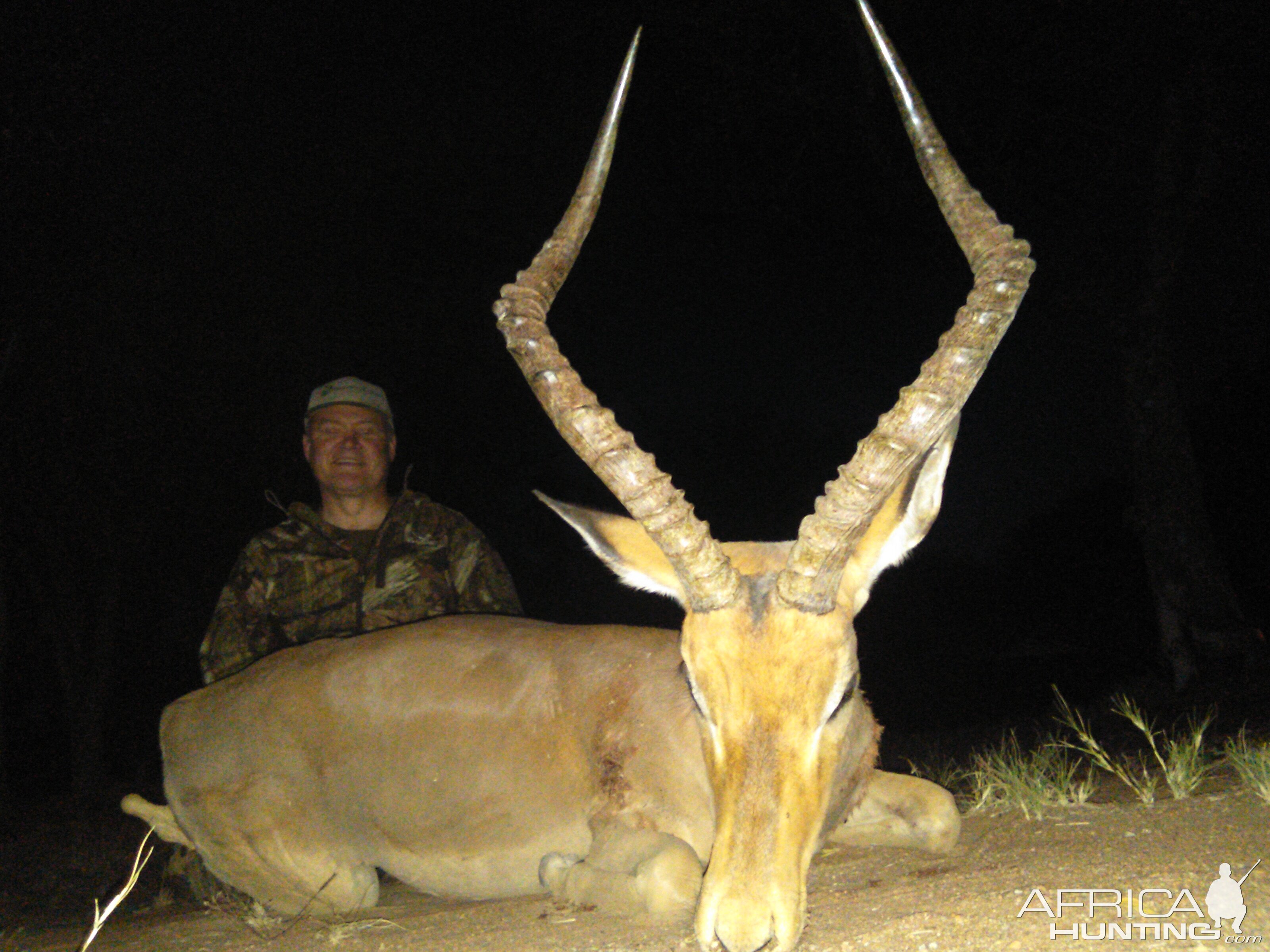 Hunting South Africa Impala