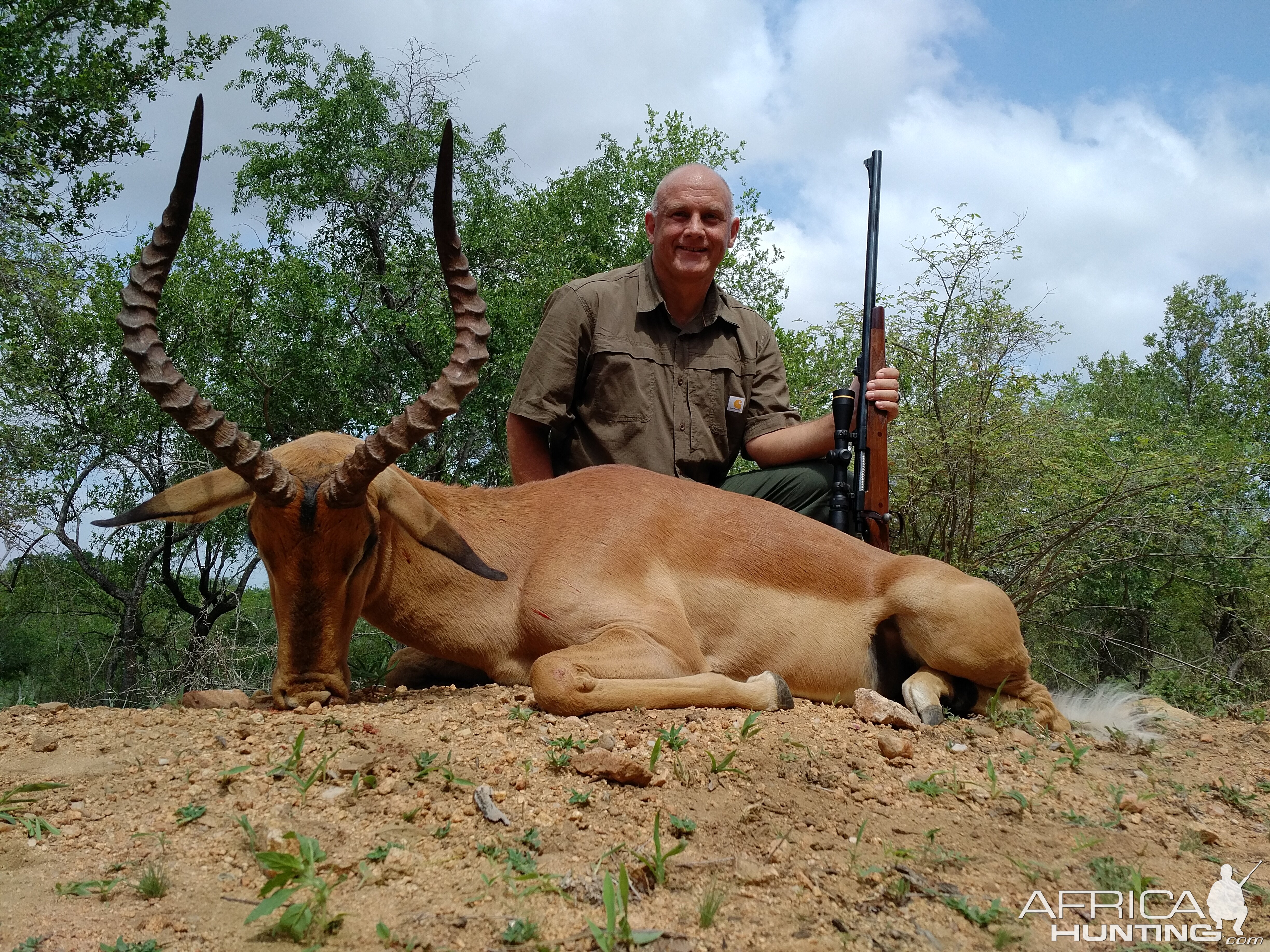 Hunting South Africa Impala