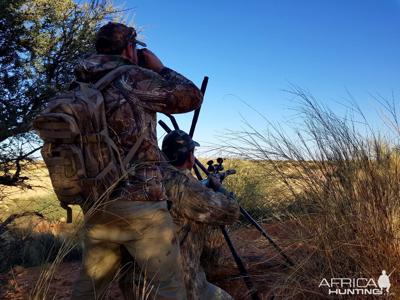 Hunting South Africa Kalahari