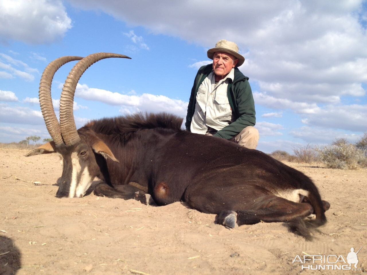 Hunting South Africa Sable