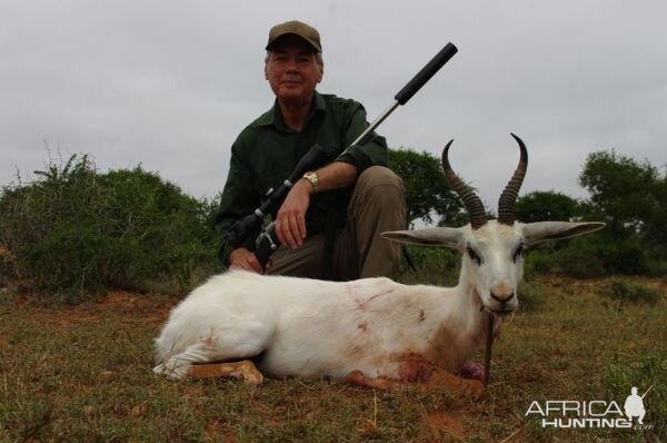 Hunting South Africa White Springbok