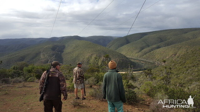 Hunting South Africa