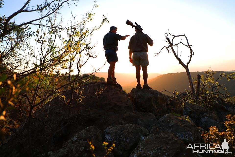 Hunting South Africa