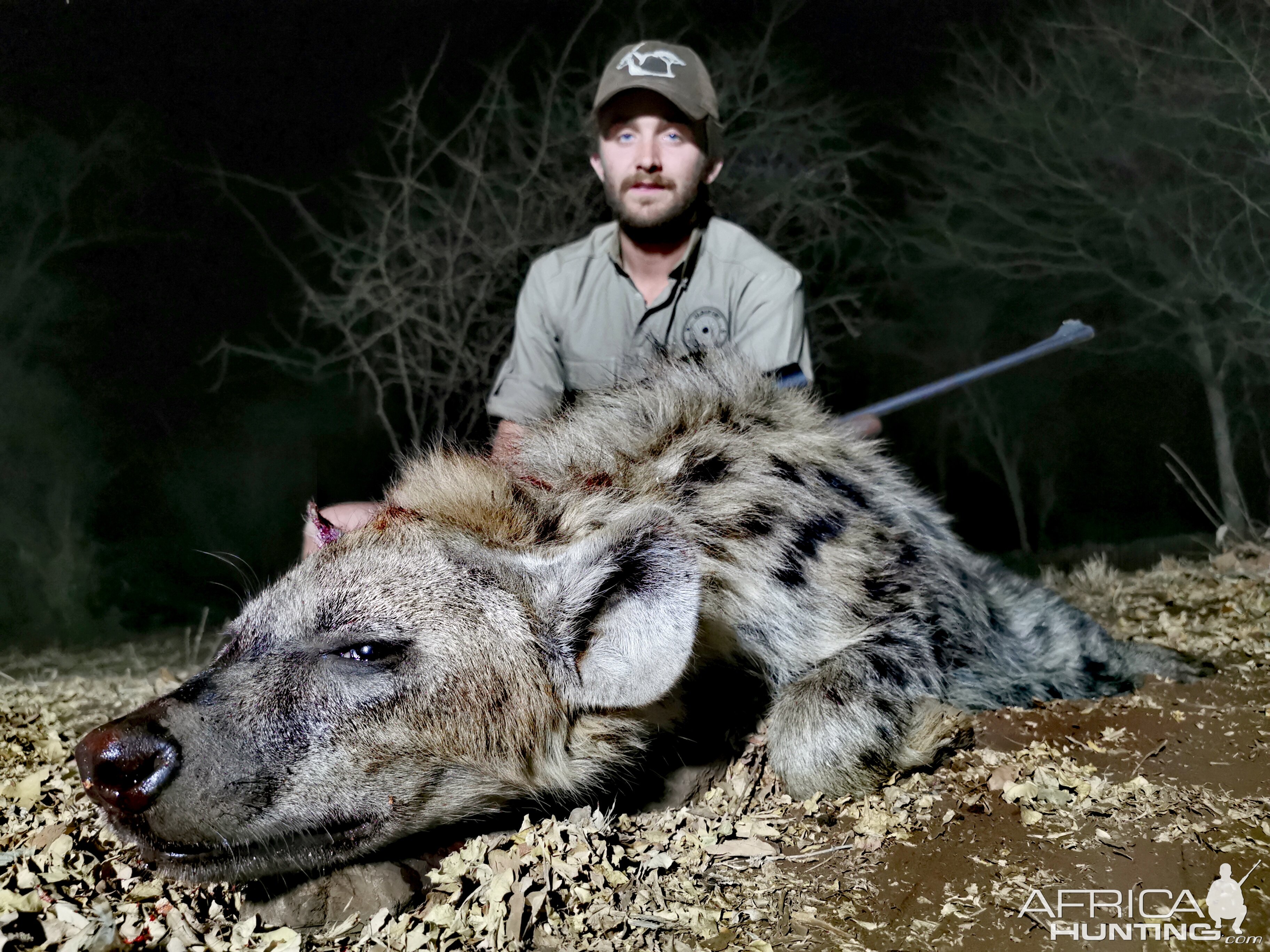 Hunting Spotted Hyena in South Africa