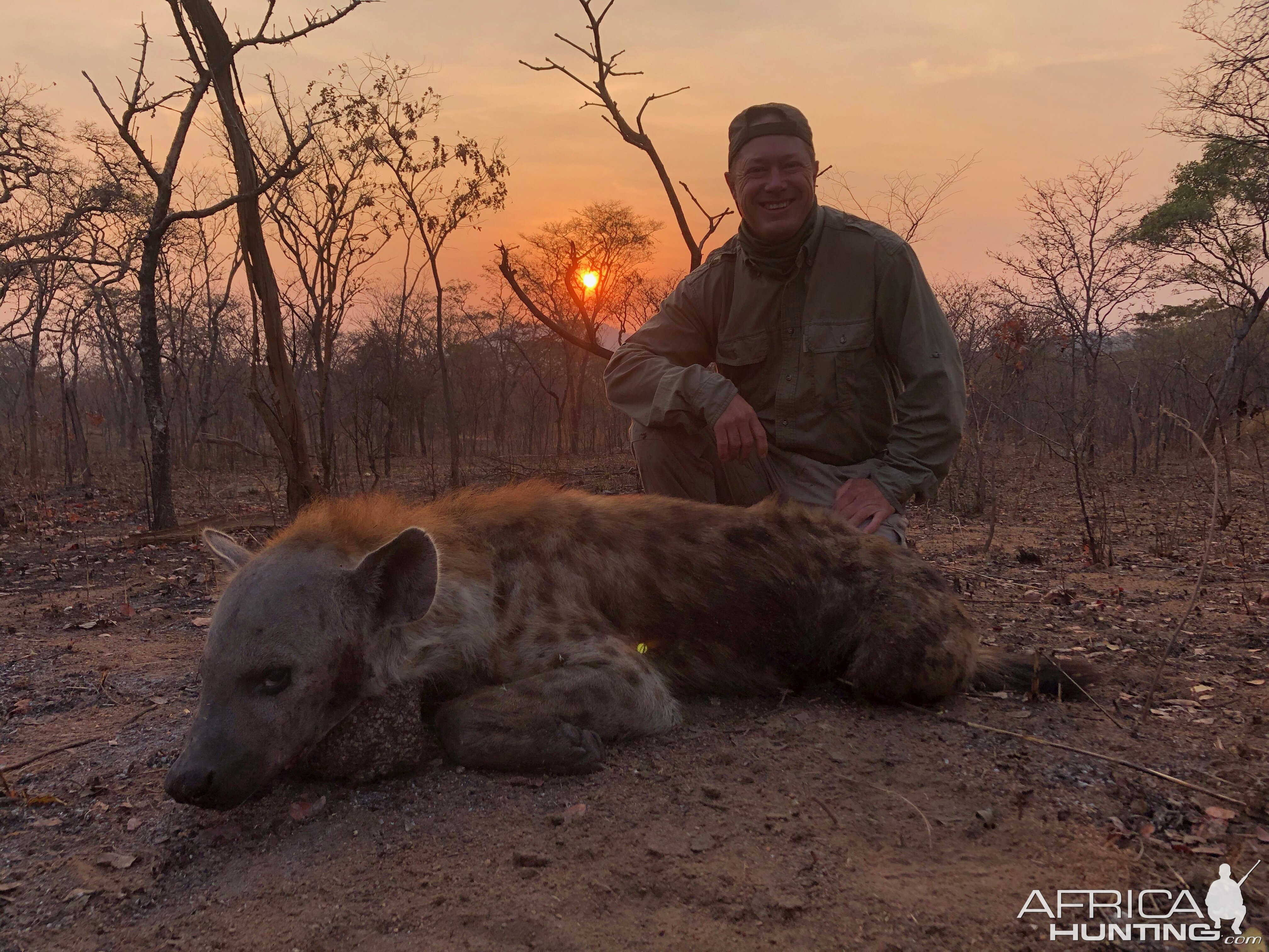 Hunting Spotted Hyena in Tanzania