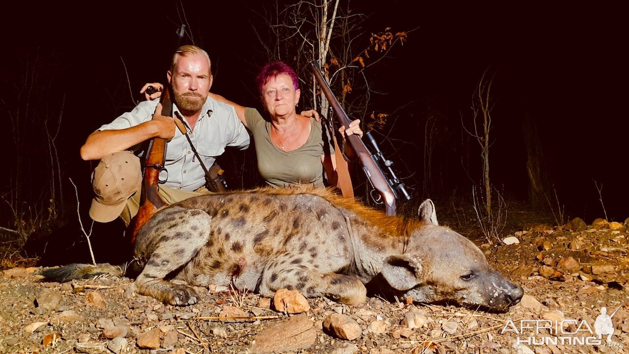 Hunting Spotted Hyena in Zambia