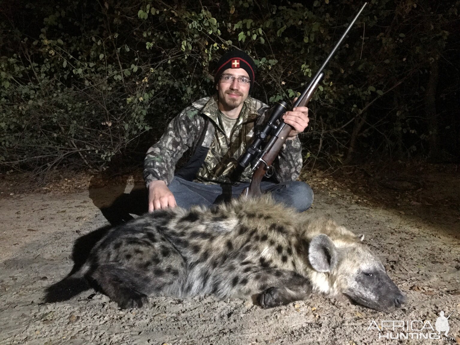 Hunting Spotted Hyena Zimbabwe