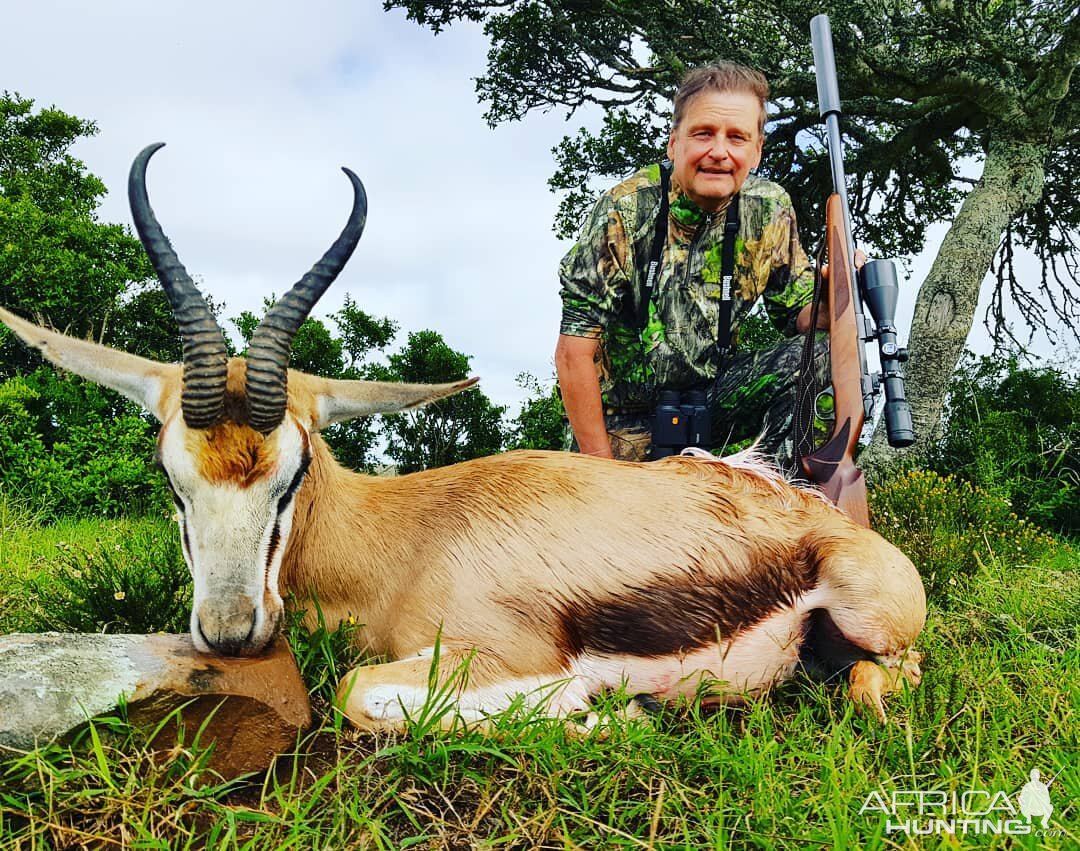 Hunting Springbok South Africa