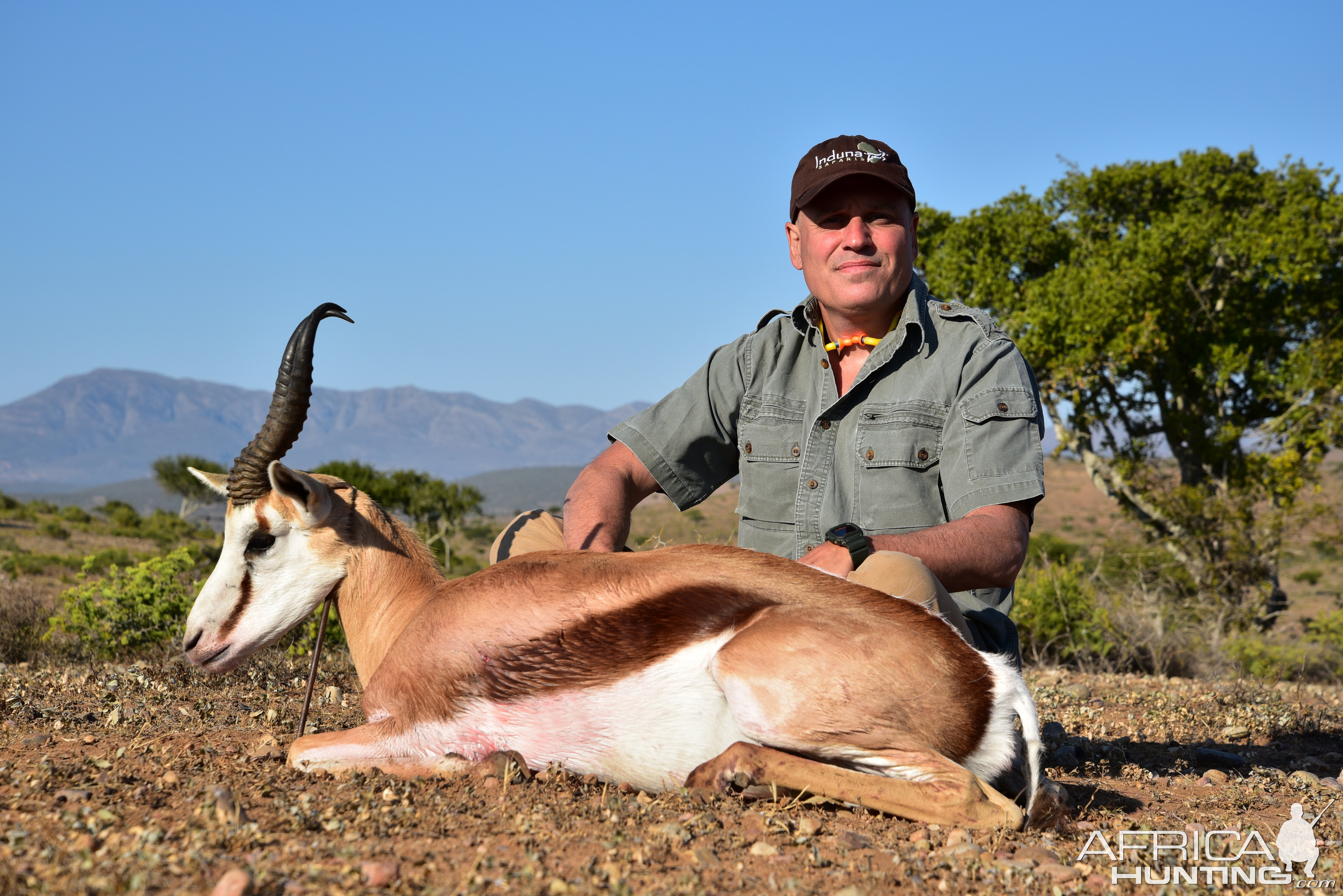 Hunting Springbok South Africa