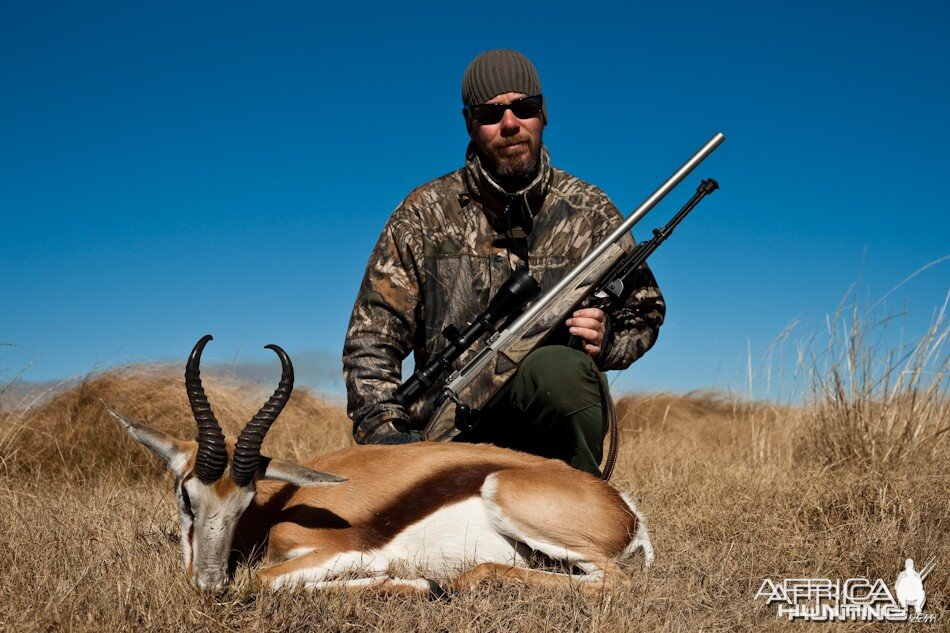 Hunting Springbok