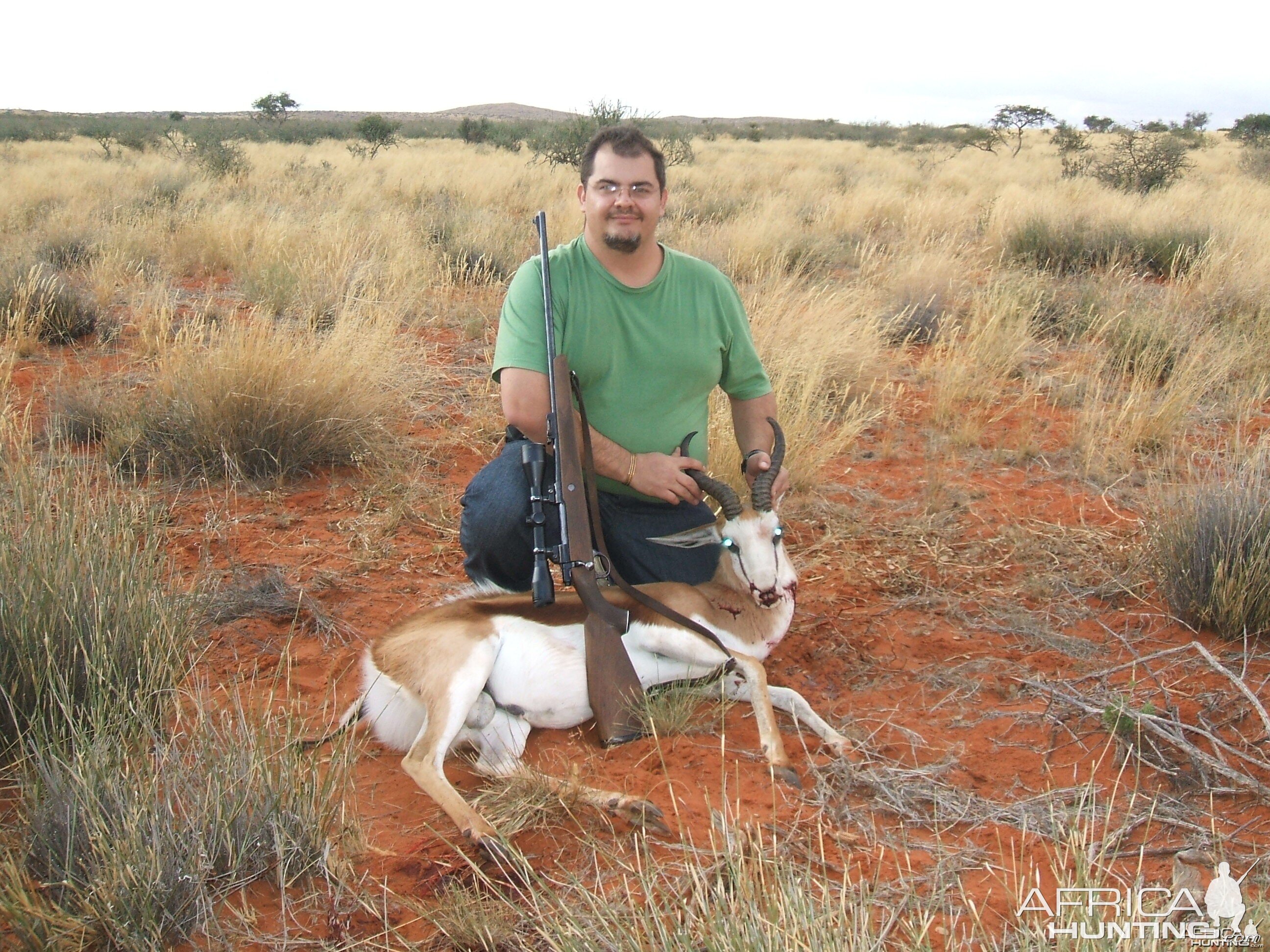 Hunting Springbok