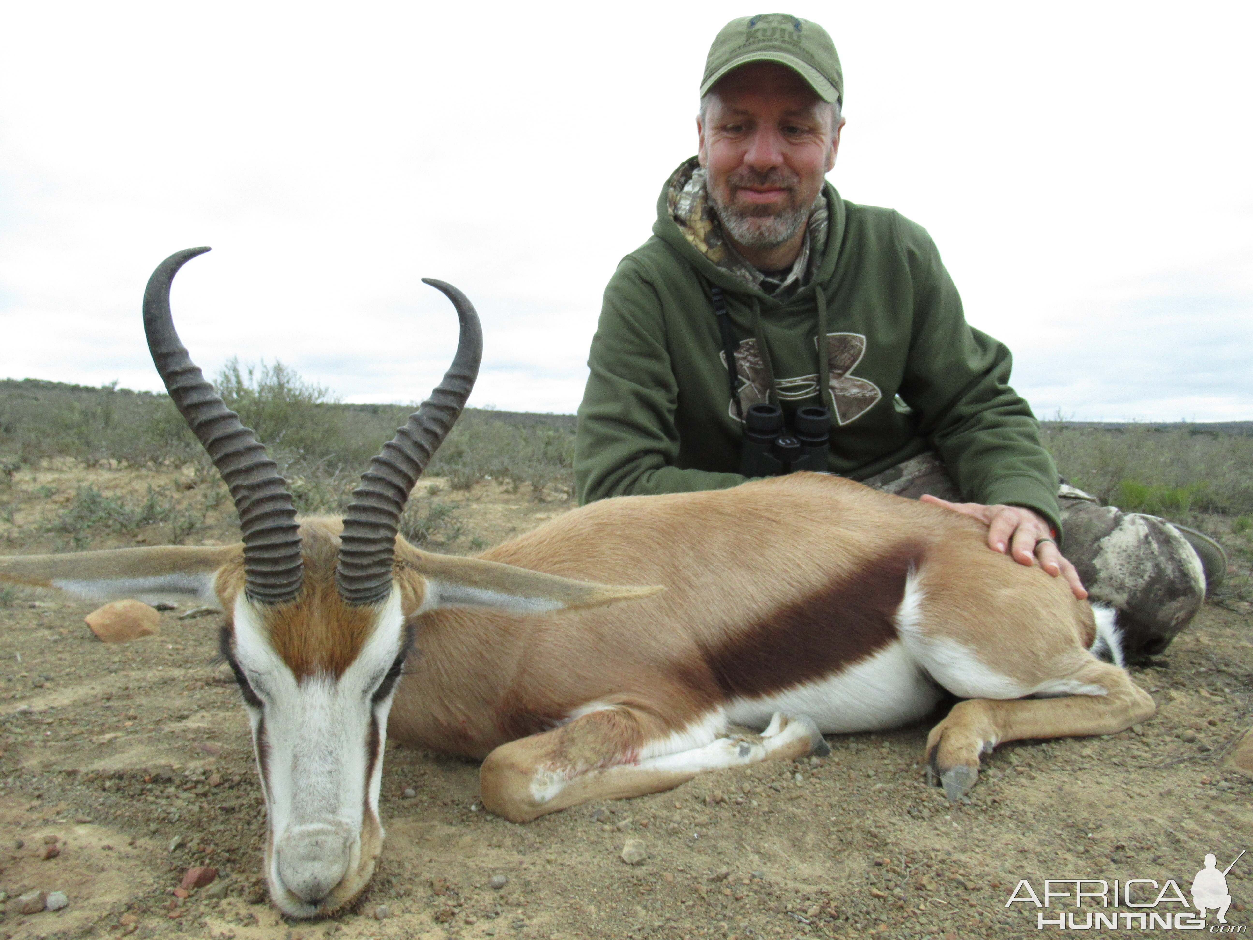 Hunting Springbok