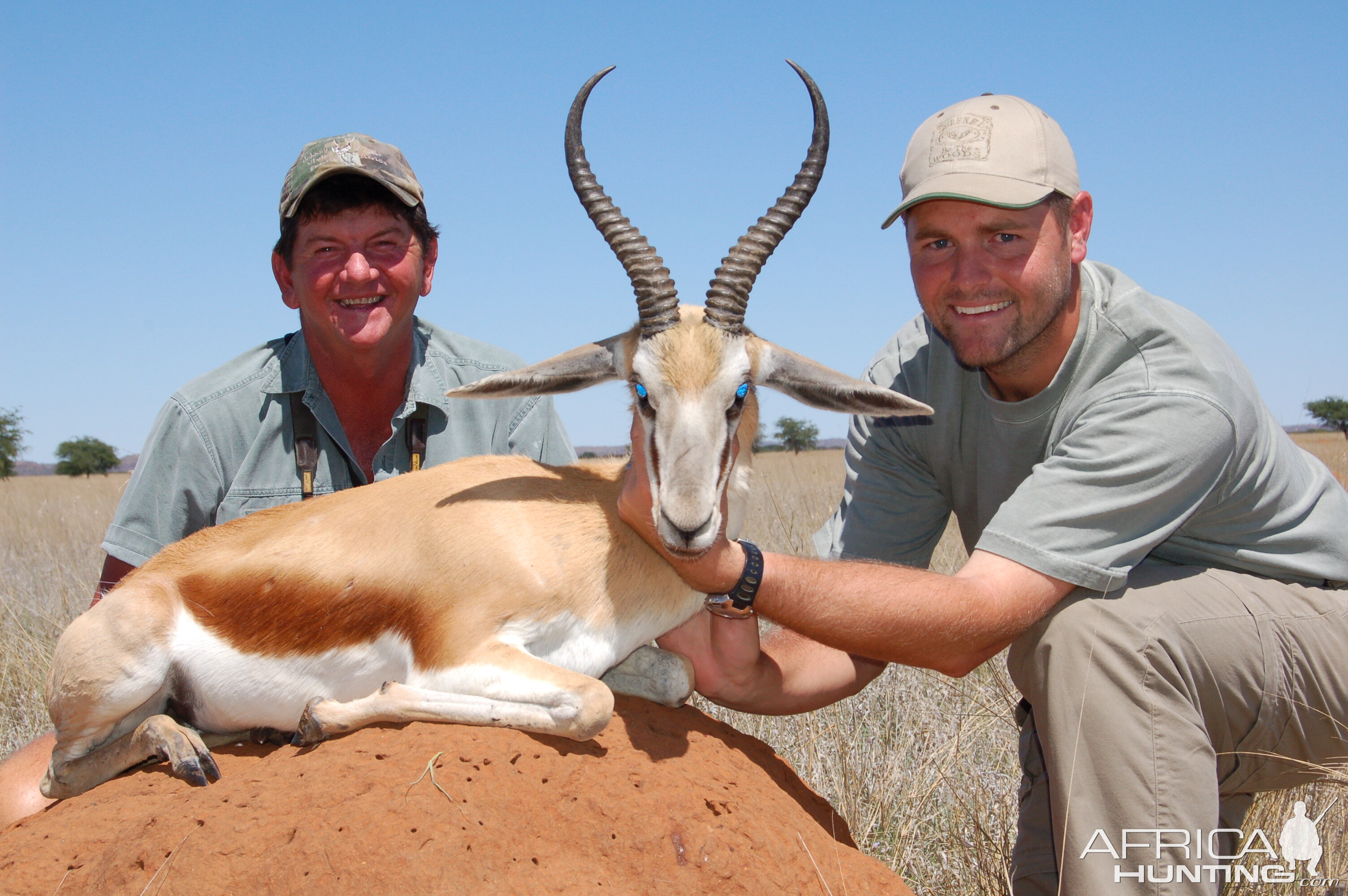 Hunting Springbuck with Wintershoek Johnny Vivier Safaris in SA