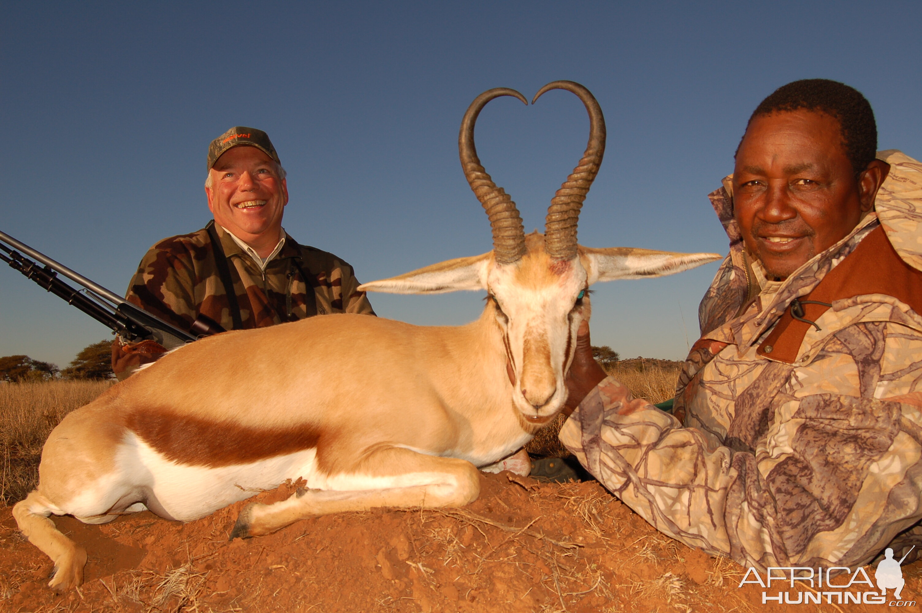 Hunting Springbuck with Wintershoek Johnny Vivier Safaris in SA