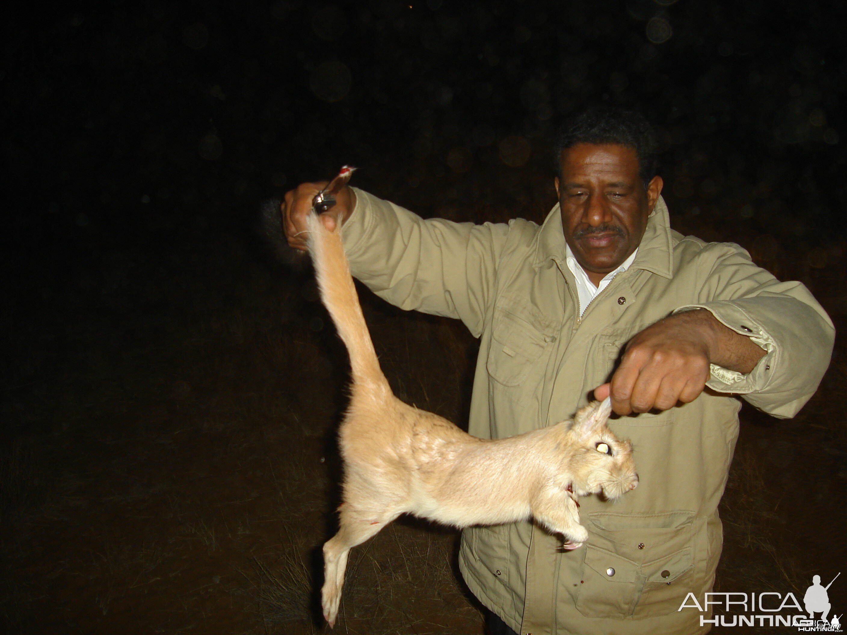 Hunting Springhare in Namibia