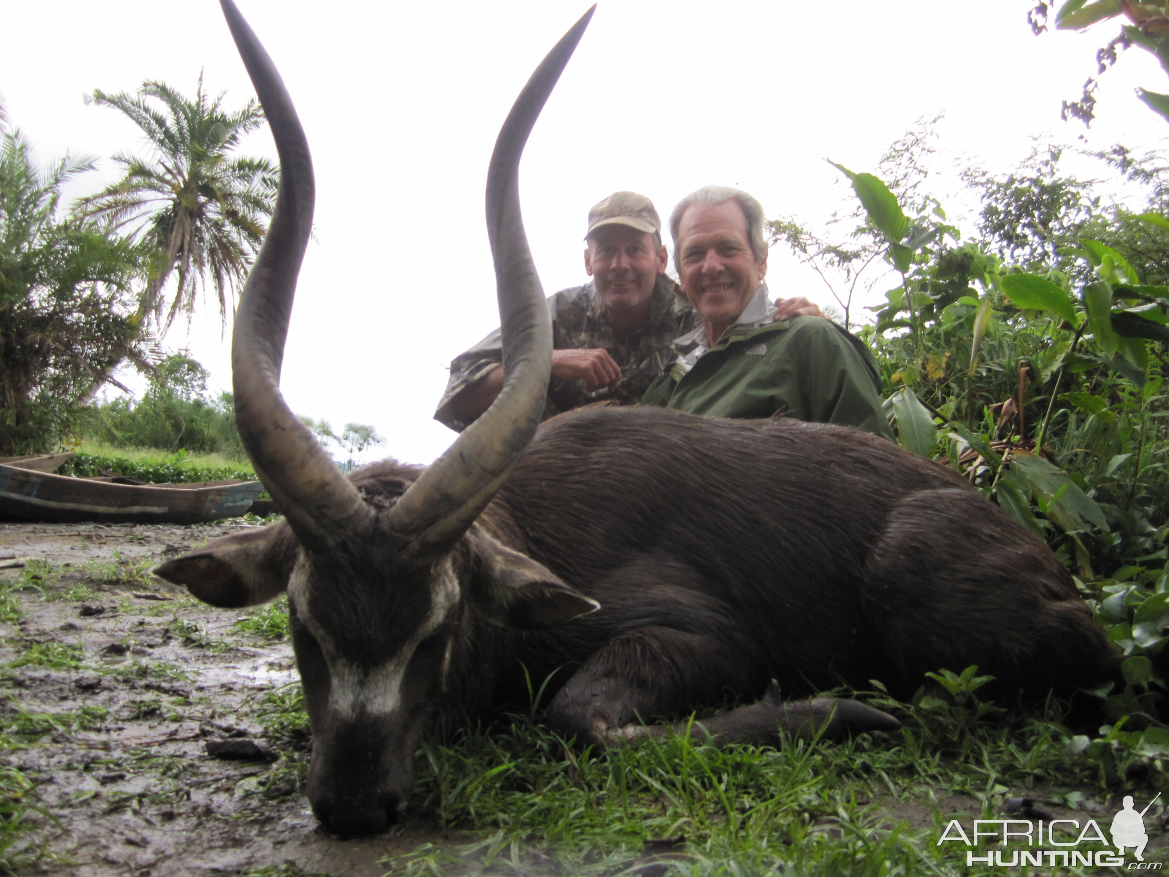 Hunting Ssese Island Sitatunga in Uganda