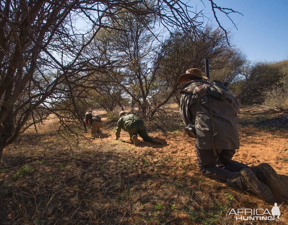 Hunting & Stalking Game in Namibia