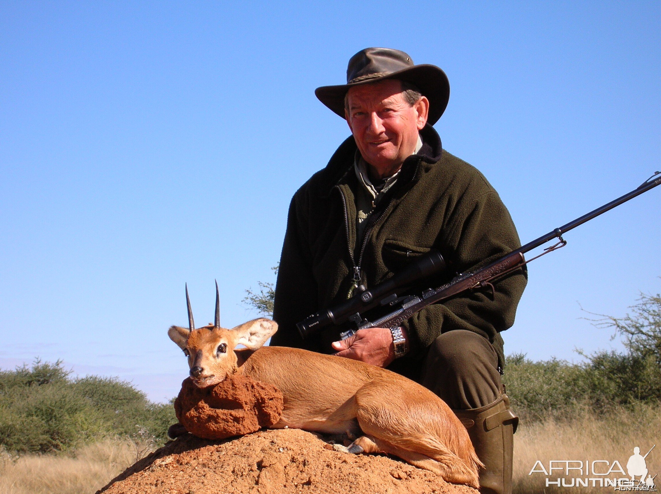 Hunting Steenbok in Namibia