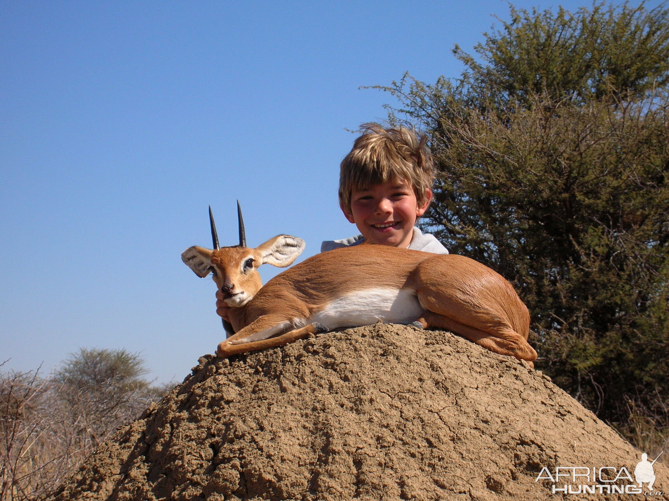 Hunting Steenbok in Namibia