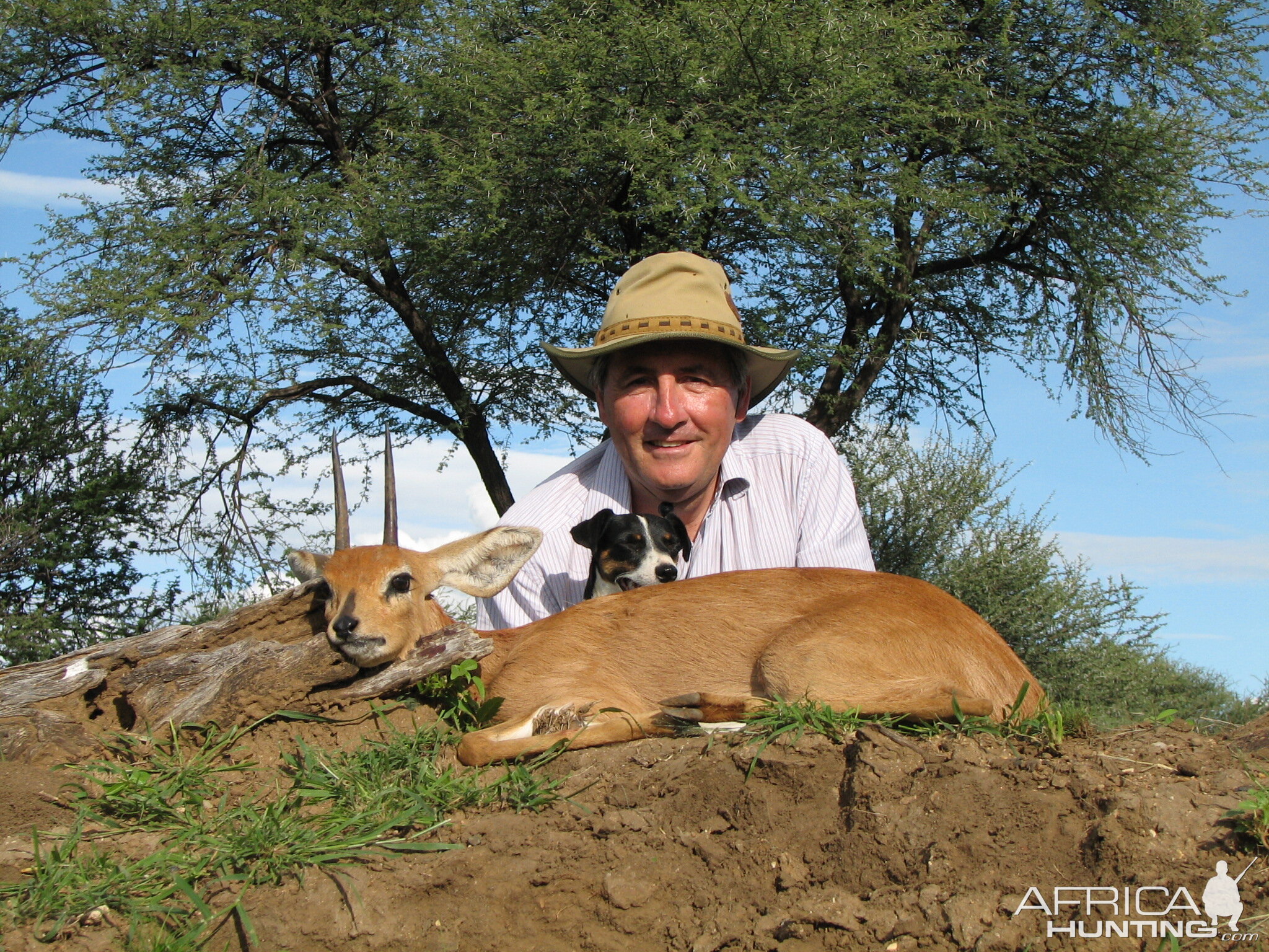 Hunting Steenbok in Namibia