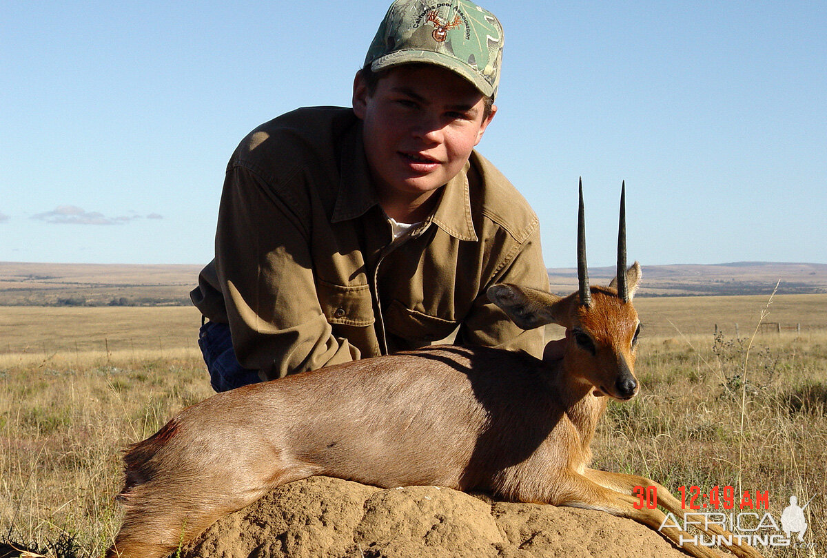 Hunting Steenbok in South Africa