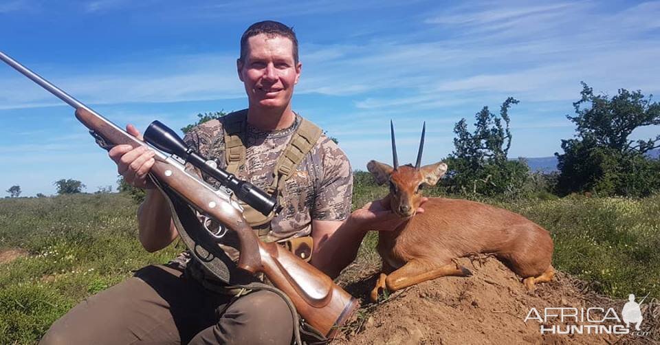 Hunting Steenbok in South Africa