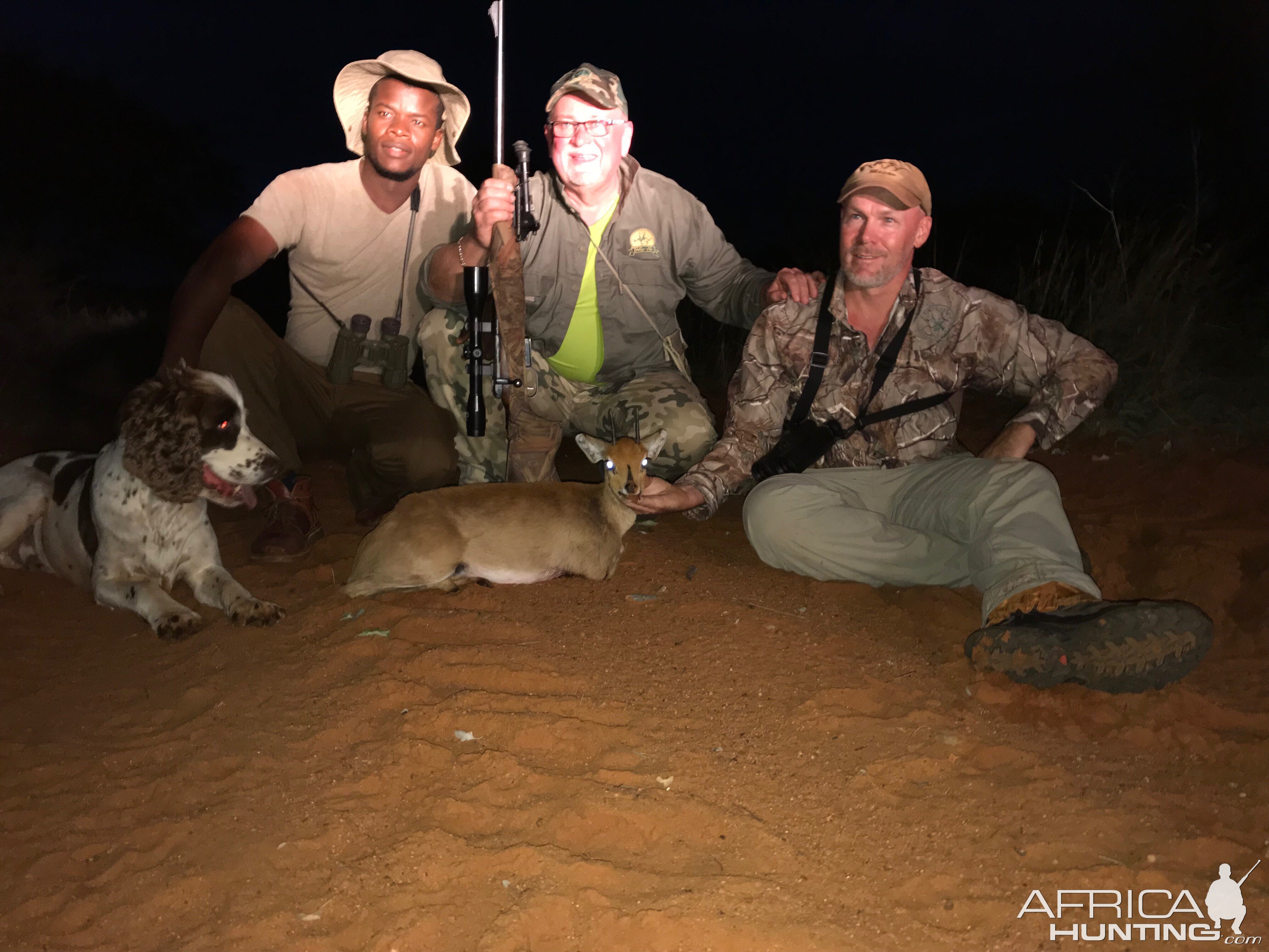 Hunting Steenbok South Africa