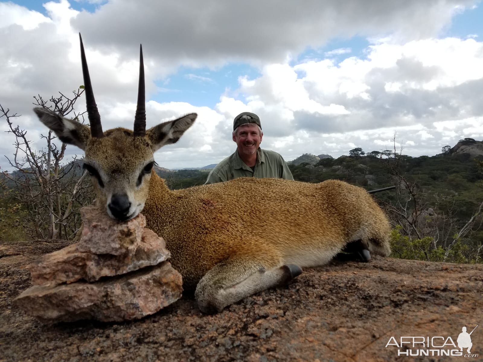 Hunting Steenbok Zimbabwe