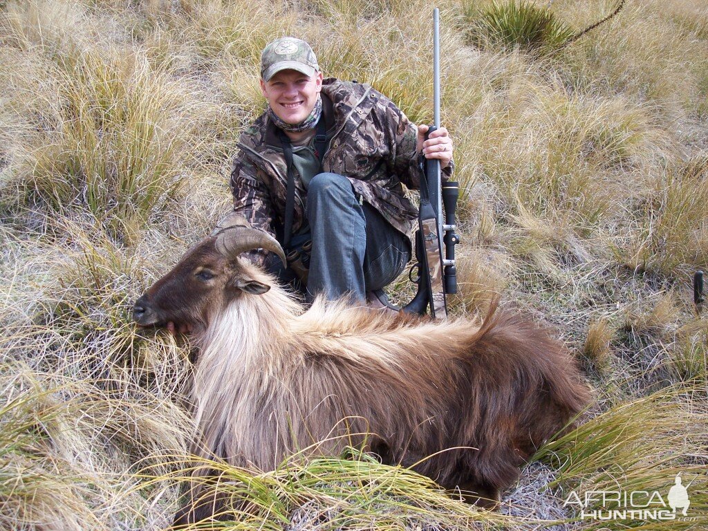 Hunting Tahr in New Zealand