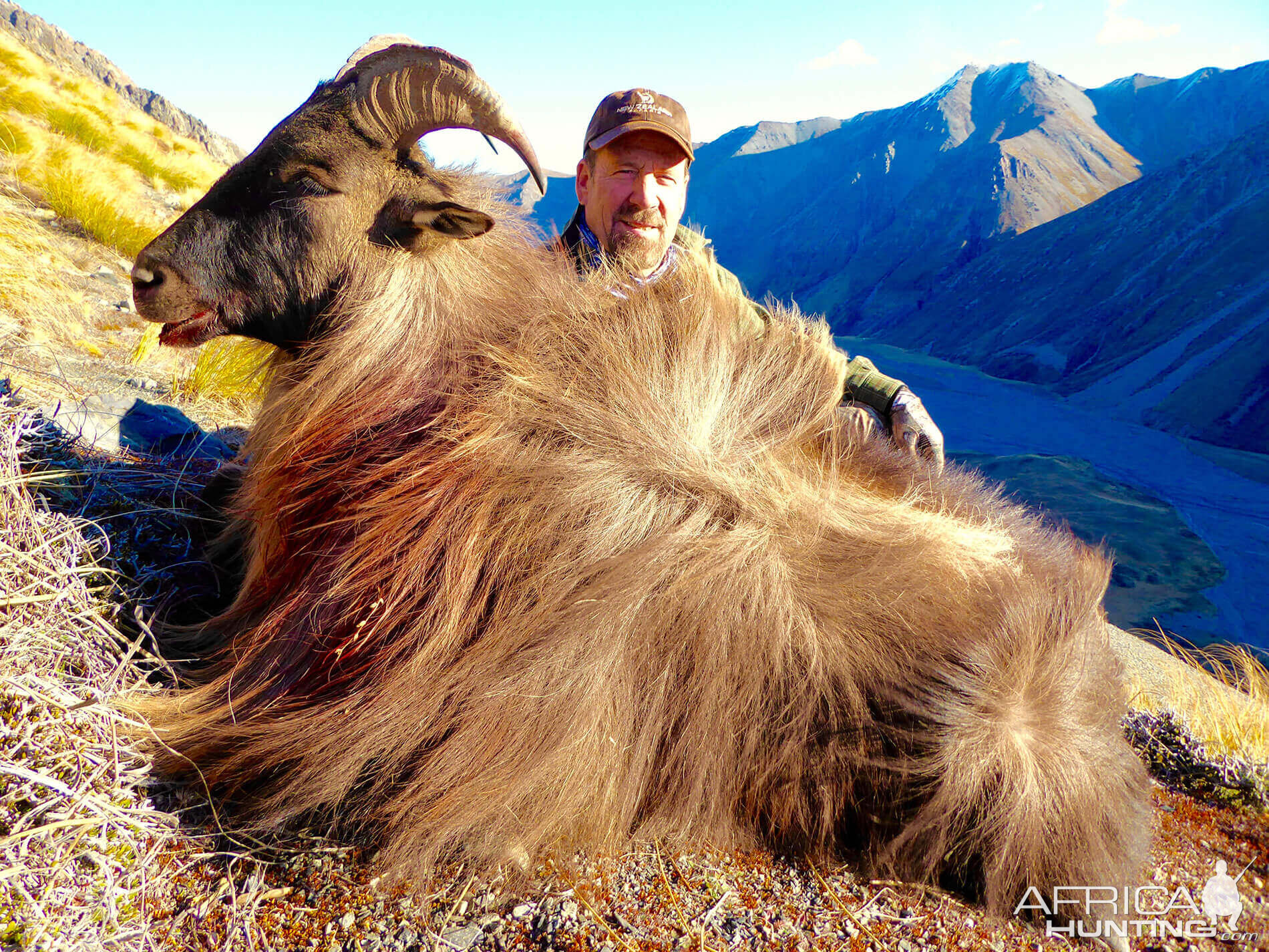 Hunting Tahr in New Zealand