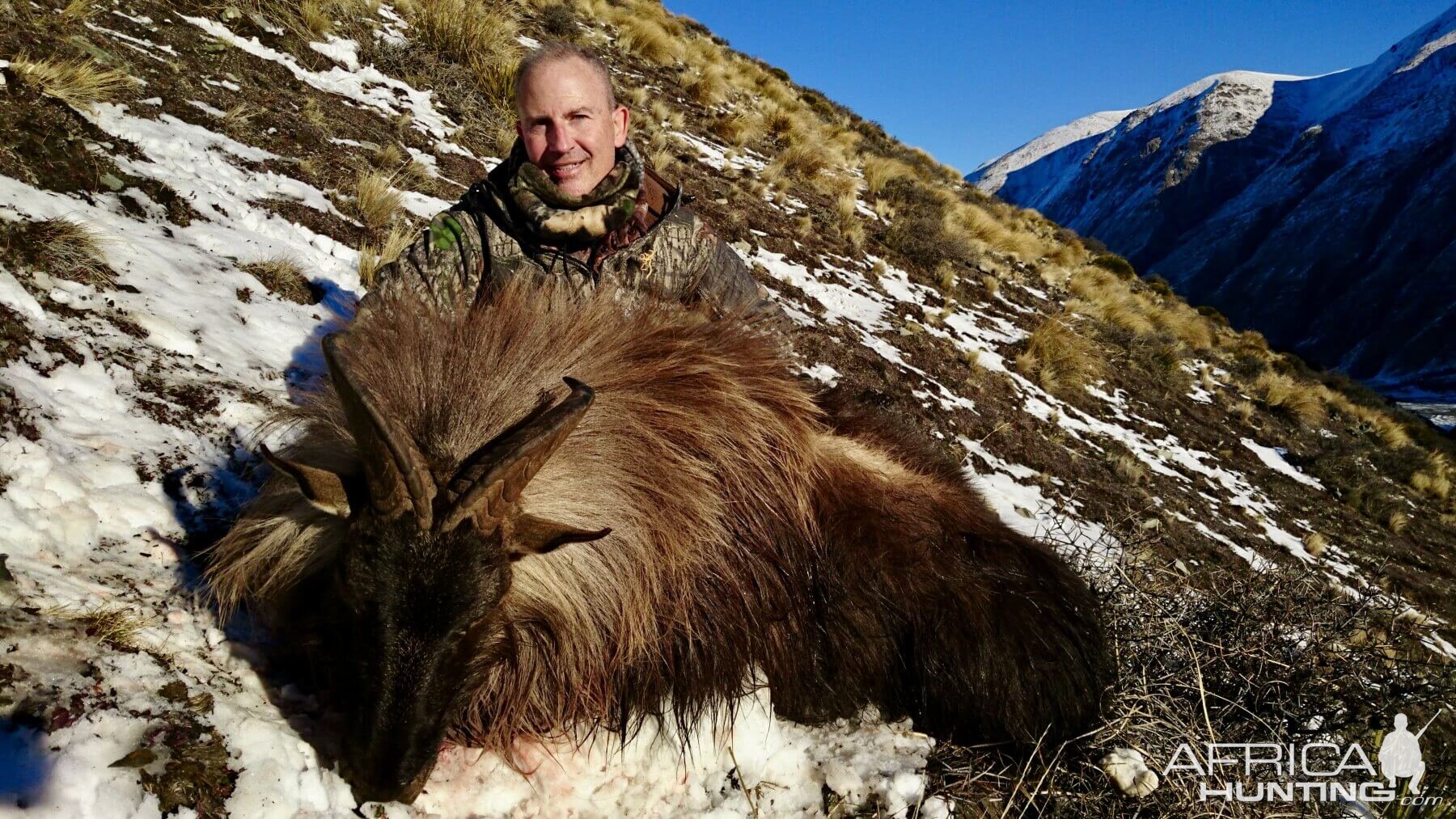 Hunting Tahr in New Zealand