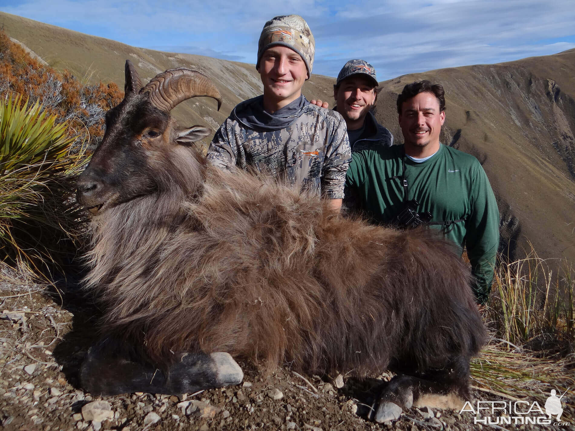 Hunting Tahr in New Zealand