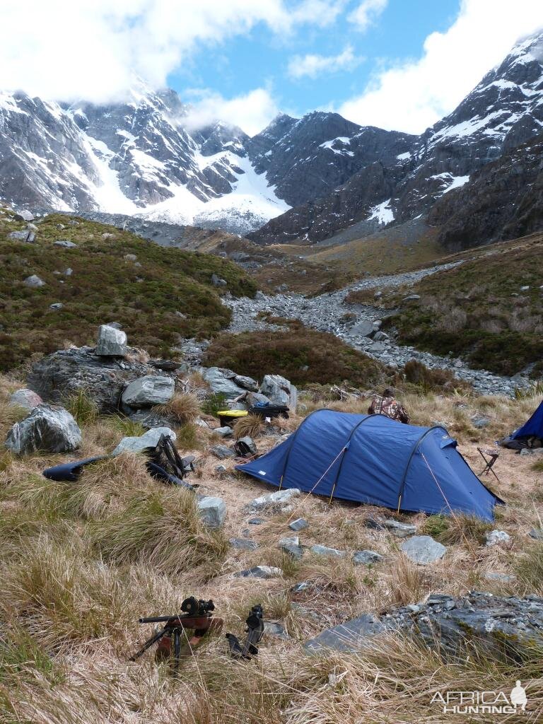 Hunting Tahr