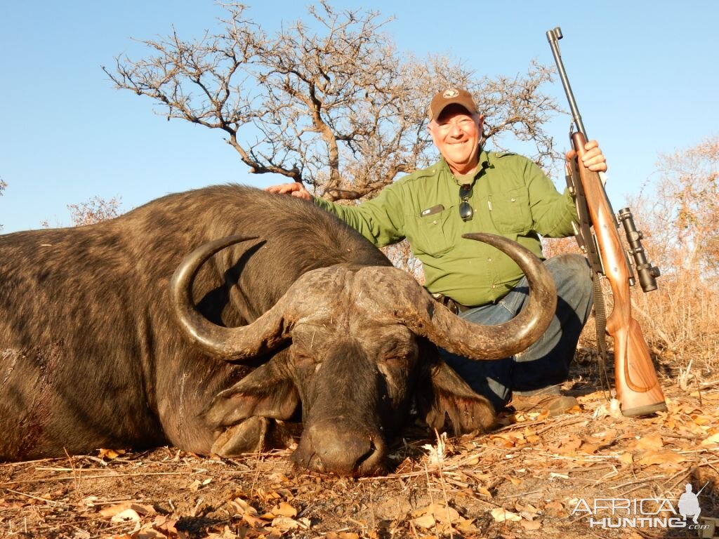 Hunting Tanzania Cape Buffalo