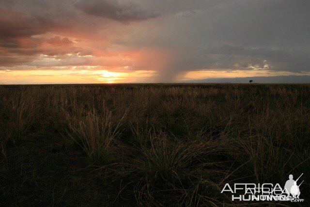 Hunting Tanzania... Kilombero