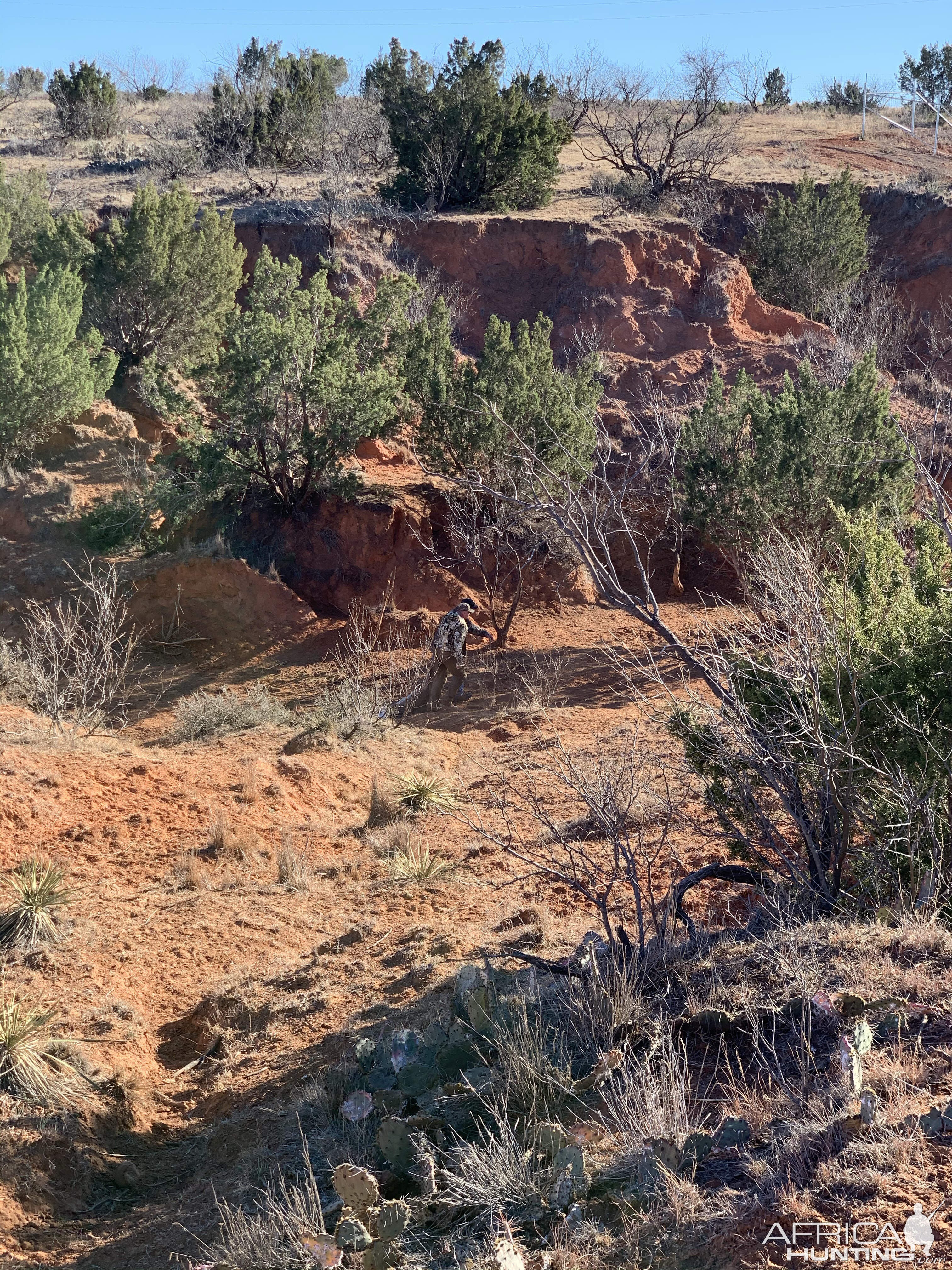 Hunting Texas USA