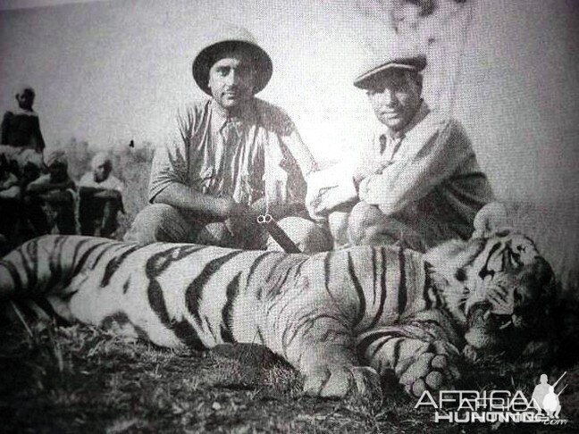 Hunting Tiger in India