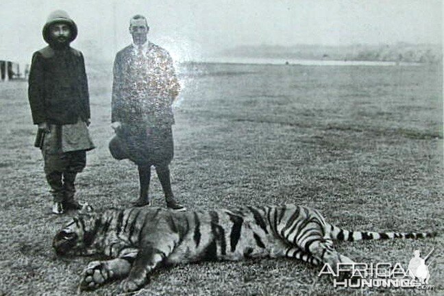 Hunting Tiger, King George and Sir Chandra Sher, Ruler of Nepal, 1911