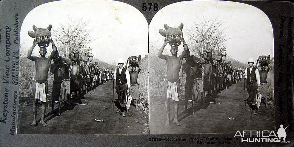 Hunting Trophies Rhodesia