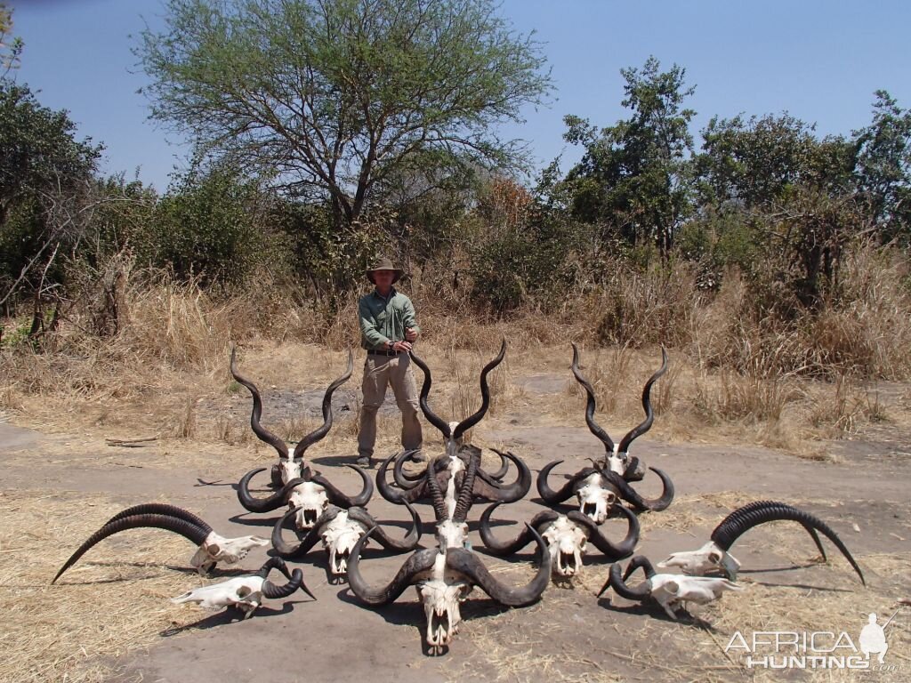 Hunting Trophies Tanzania