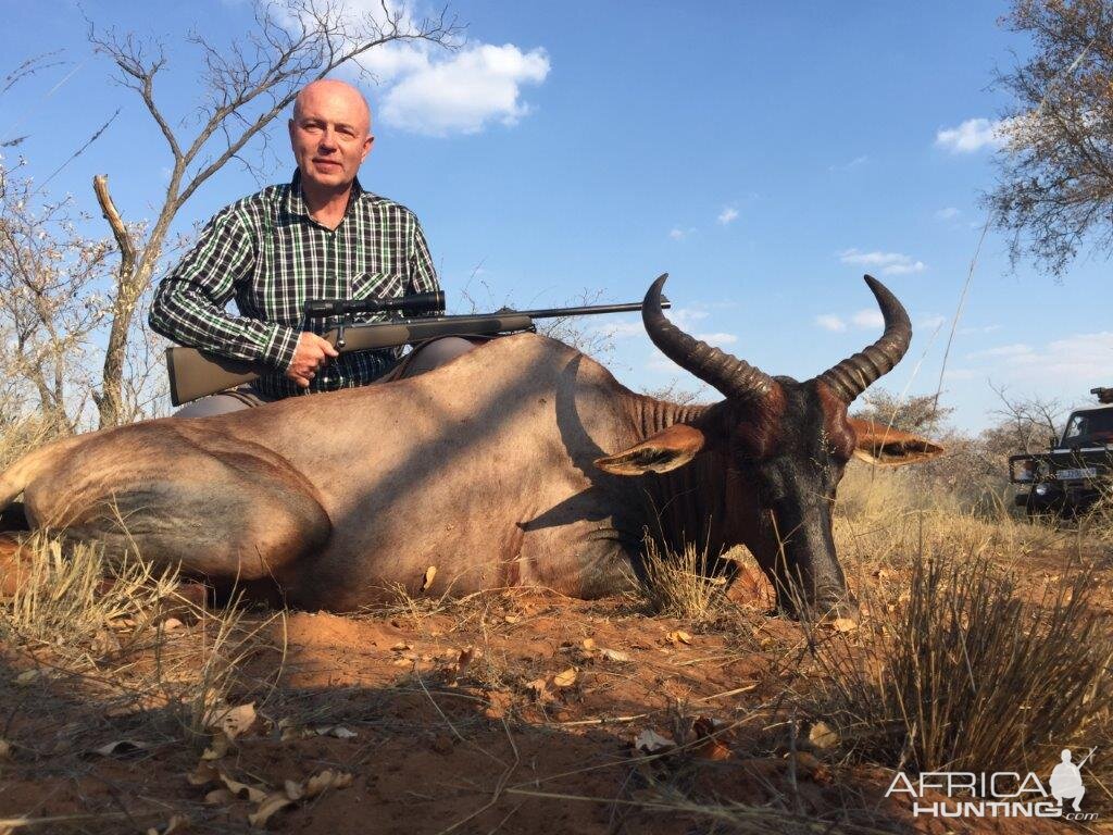 Hunting Tsessebe in South Africa