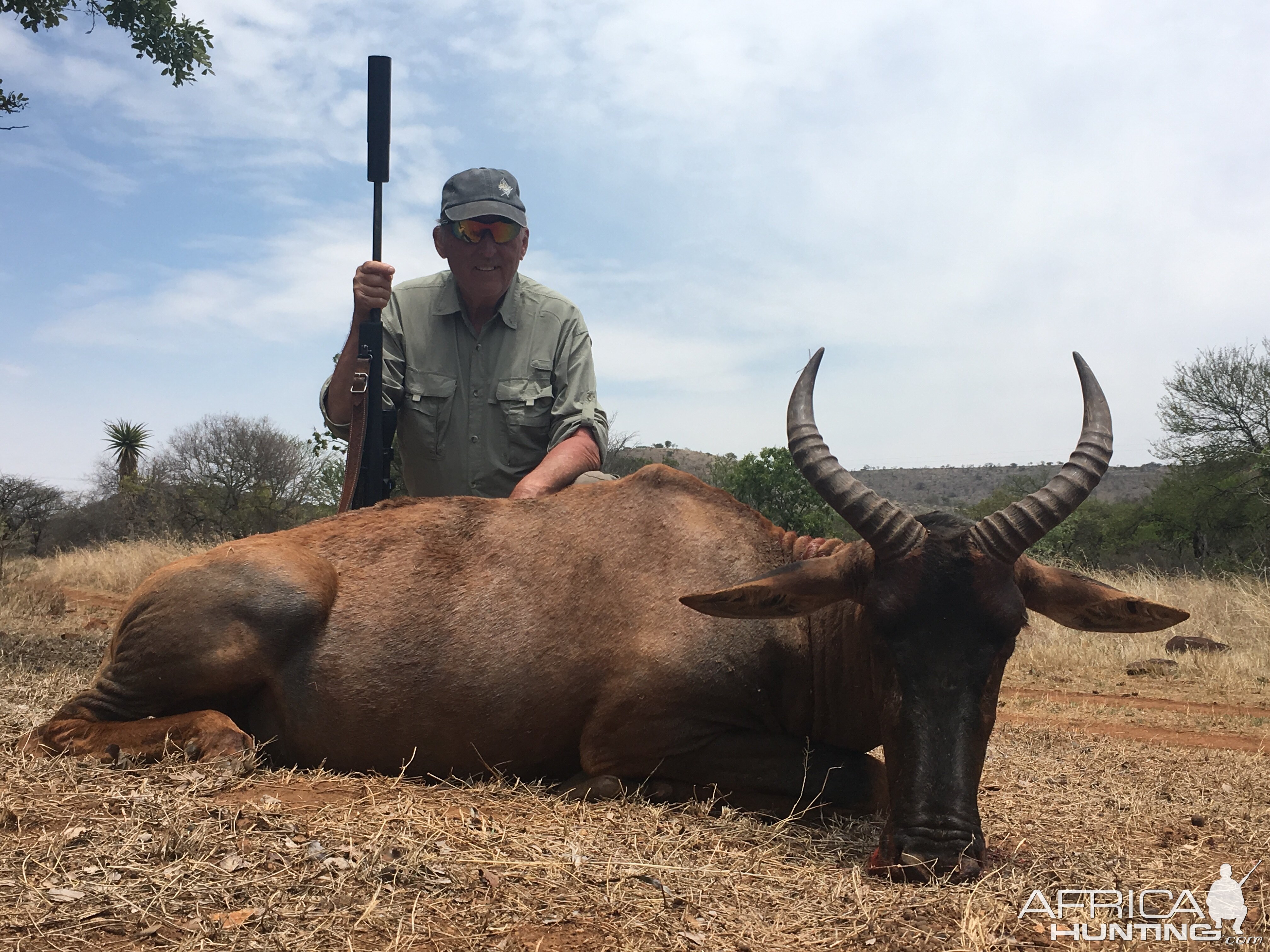 Hunting Tsessebe in South Africa