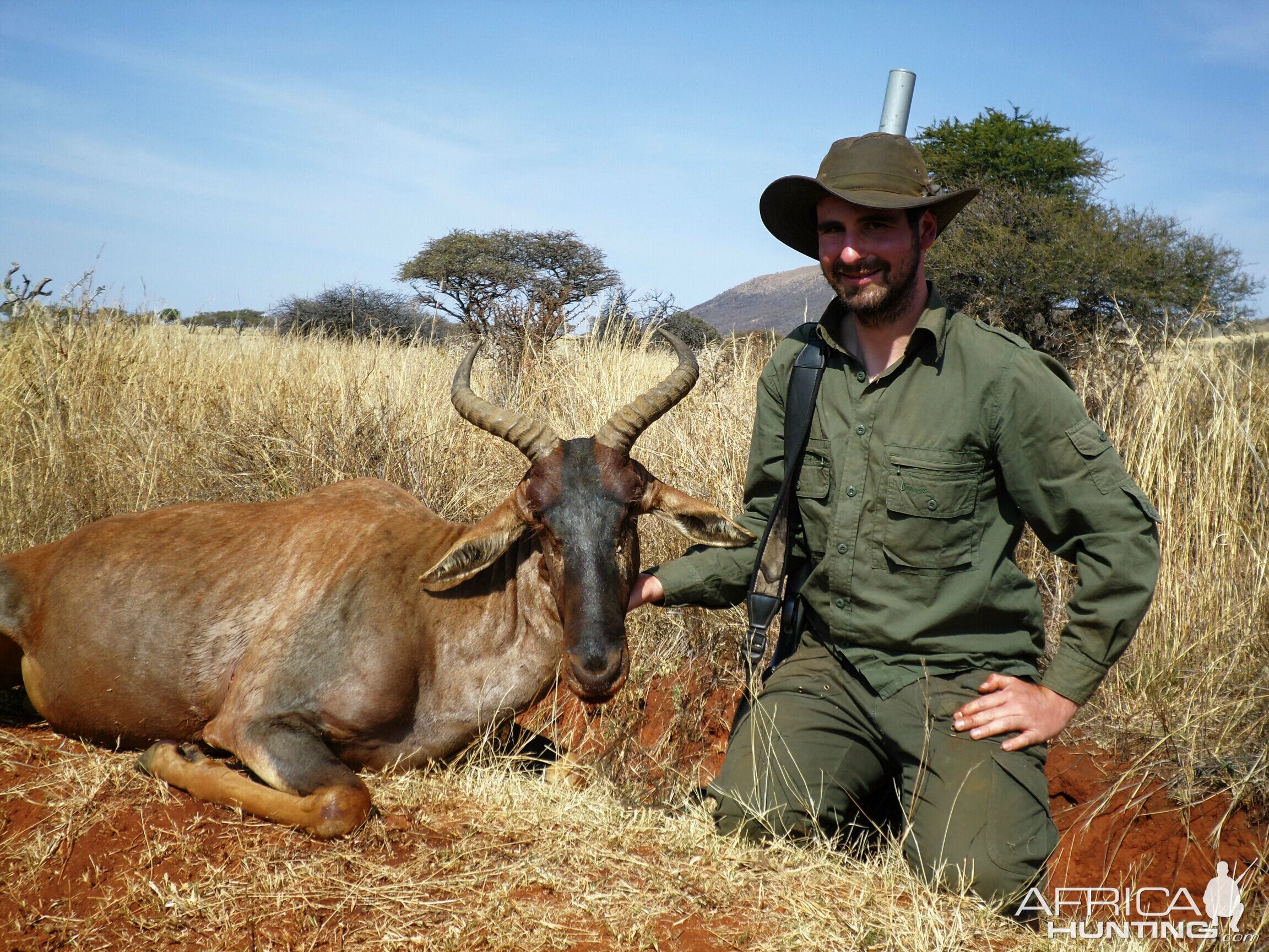 Hunting Tsessebe in South Africa