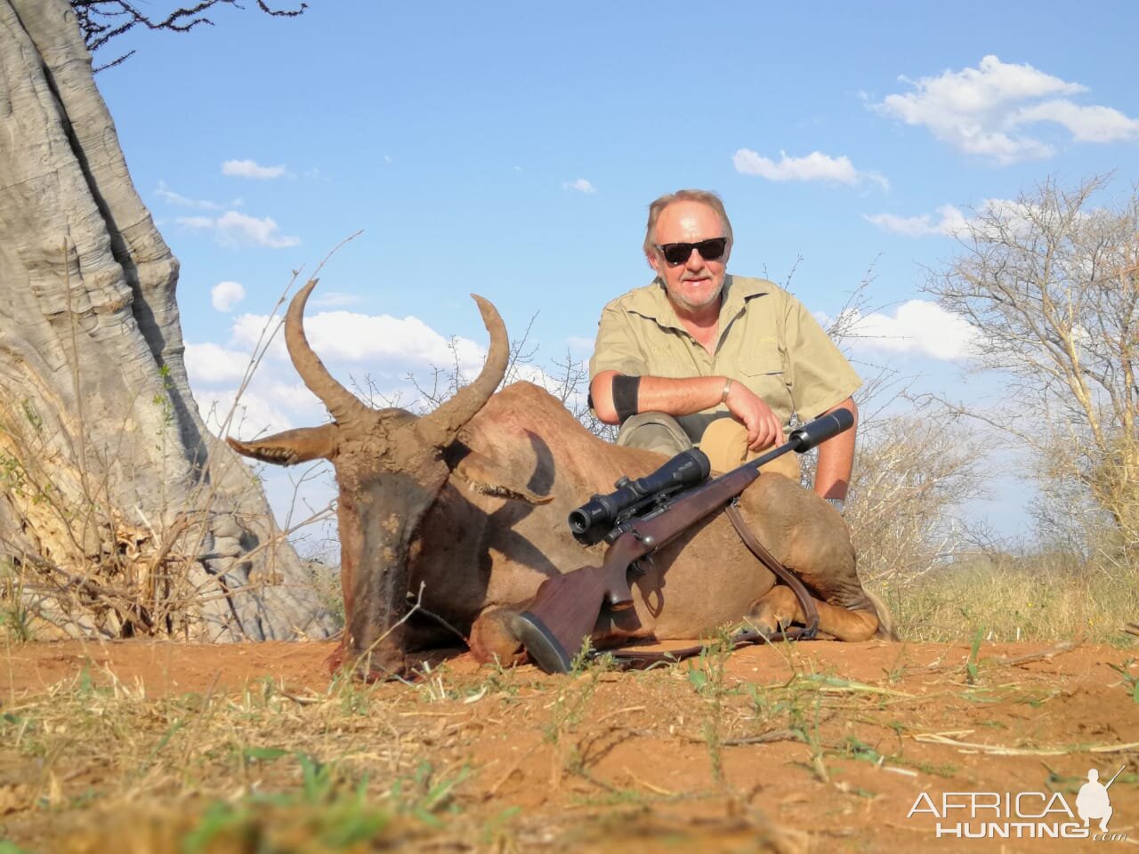 Hunting Tsessebe in South Africa