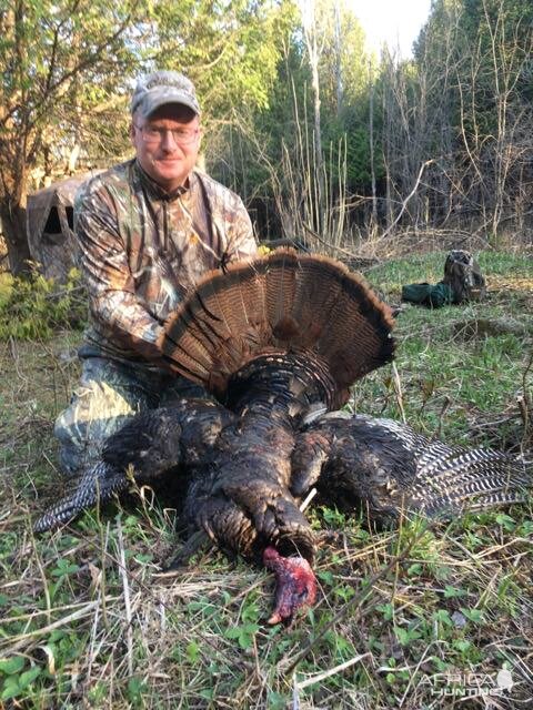 Hunting Turkey in Canada