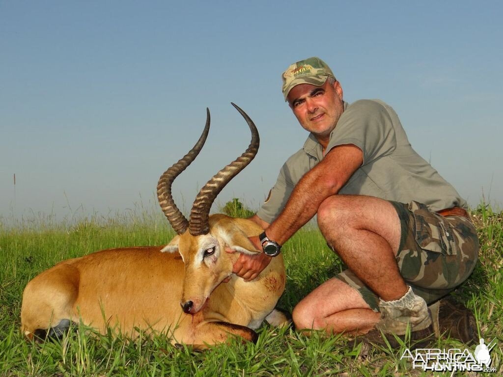 Hunting Uganda Kob