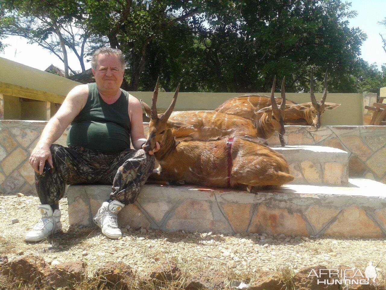 Hunting Uganda Nile Bushbuck