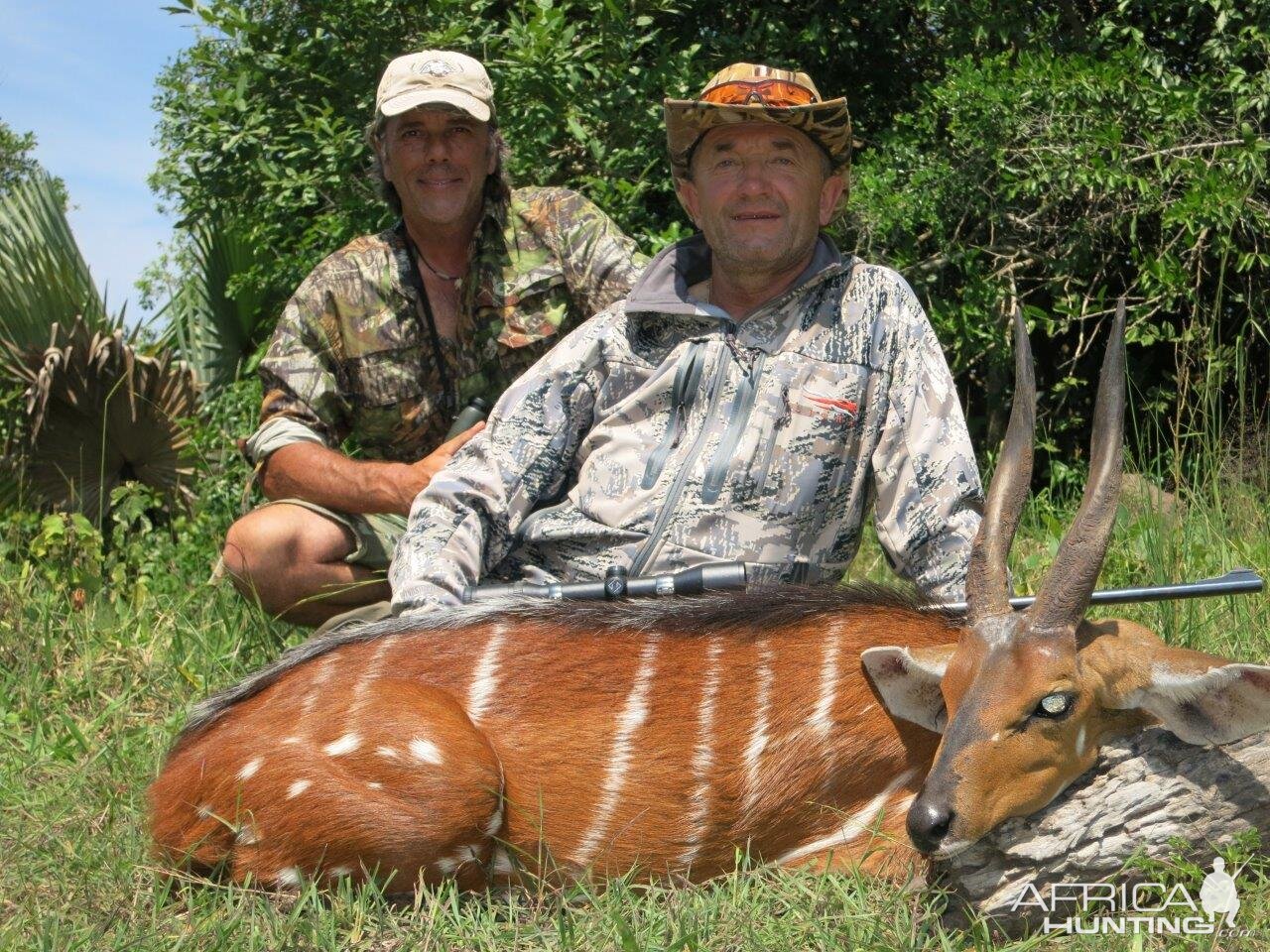 Hunting Uganda Nile Bushbuck