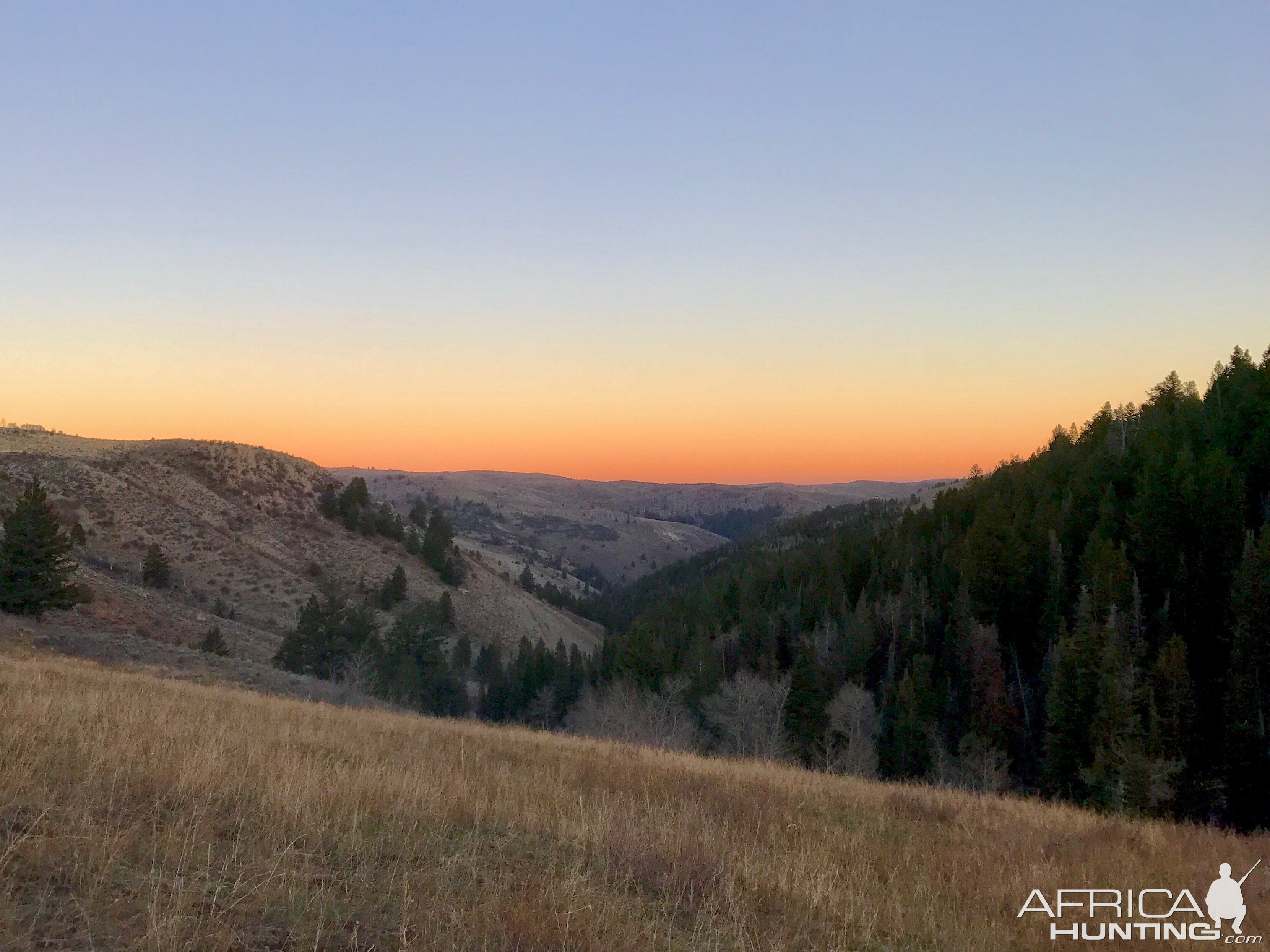 Hunting Utah