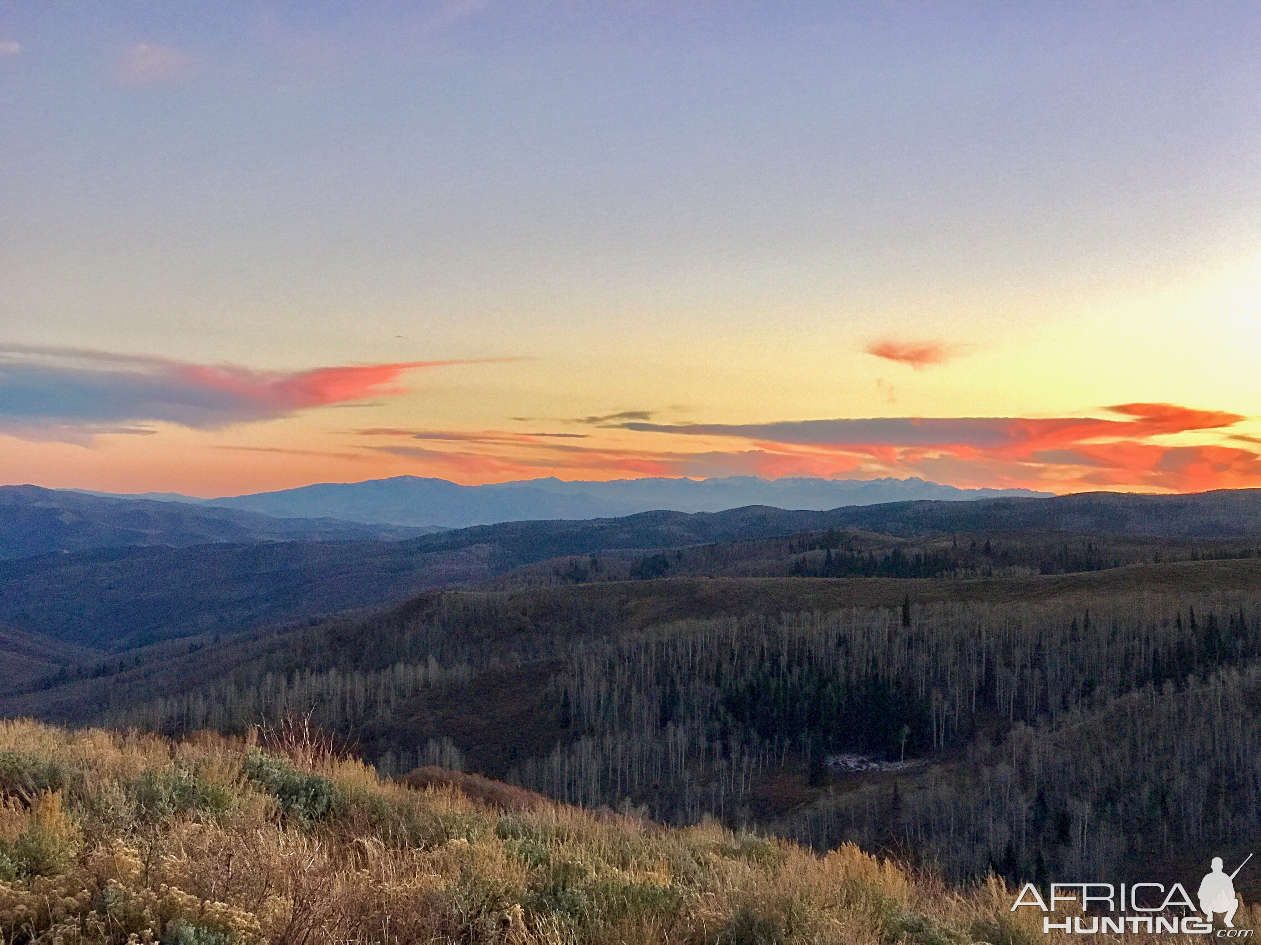 Hunting Utah